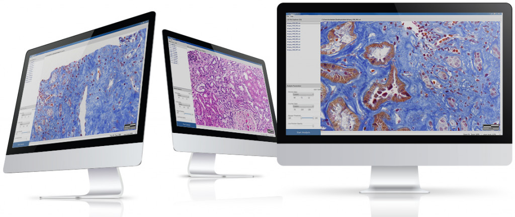 histological slide analysis software