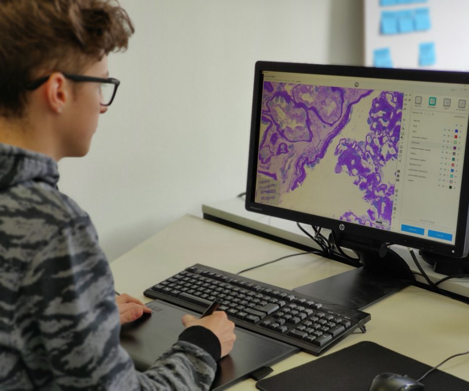 Support of drawing tablets to generate ground truth data if necessary. This can be done locally or online 