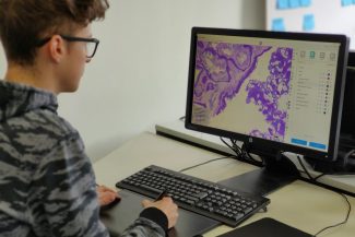 Support of drawing tablets to generate ground truth data if necessary. This can be done locally or online