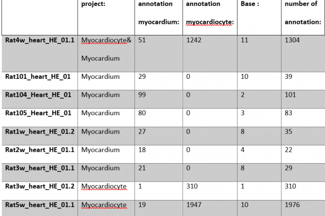 This table is about number of files and number of annotation of myocardium and cardiomyocyte