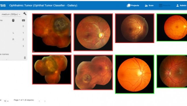 A screenshot of the HS Analysis software interface during an image
classification process.