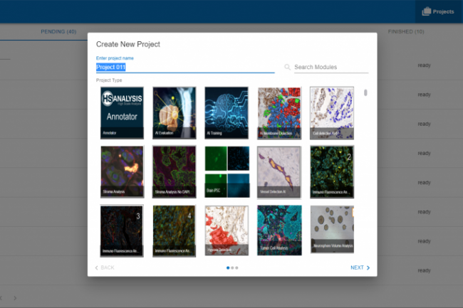 Out of hundreds of custom modules, only 15 can be seen in the image above