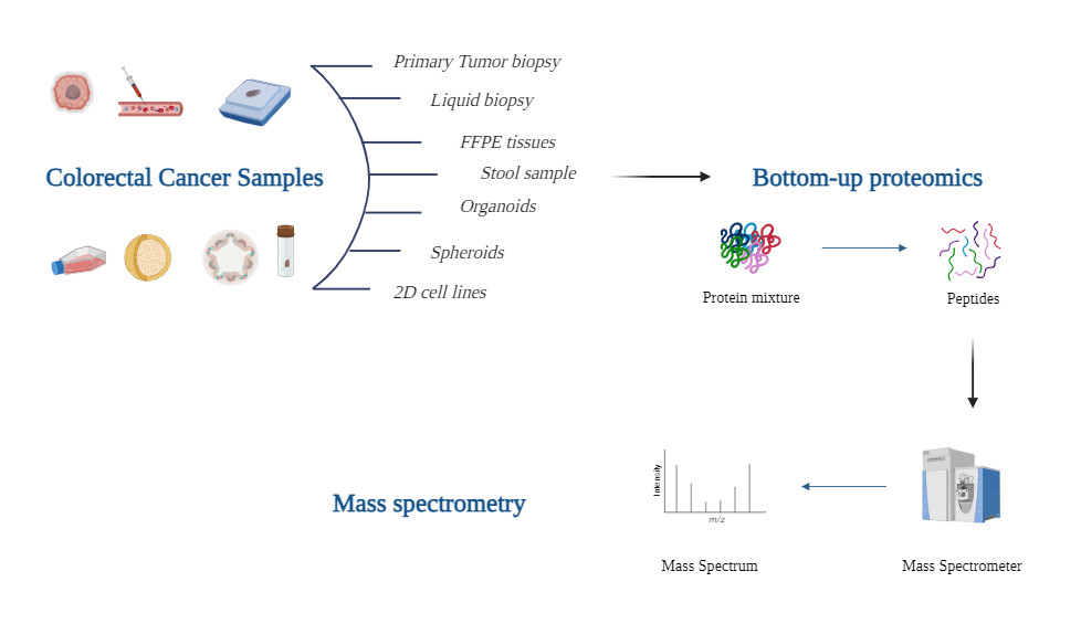Workflow for mass spectrometry