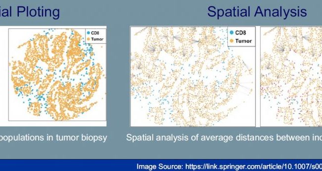 With HSA Kit accurate counting and documented quantification of various elements in microscopy images are now achievable within minutes!
