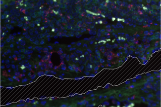 Visualization and analysis of fluorescence data