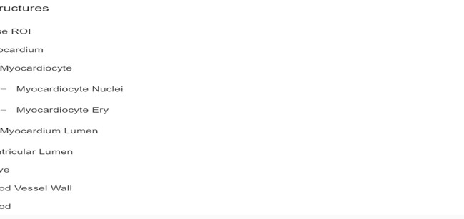 Selecting the structure for training process