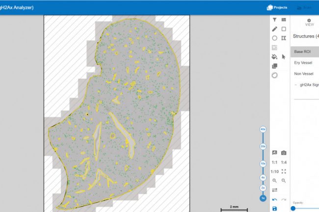 Zoomlevel: 1x; lowest opacity