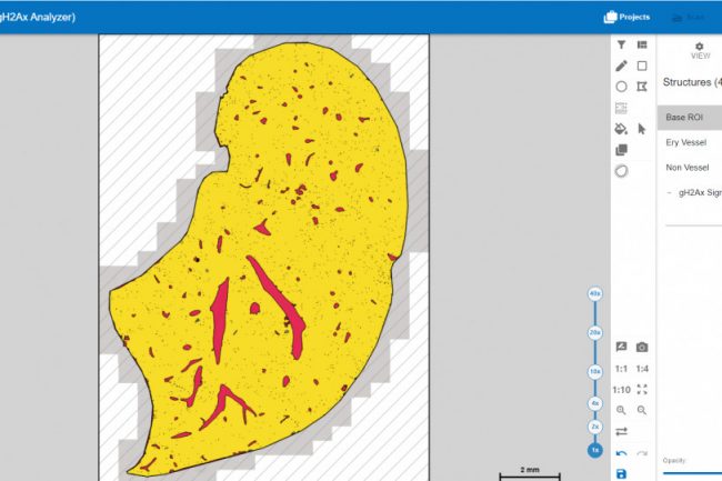 Zoomlevel: 1x; highest opacity