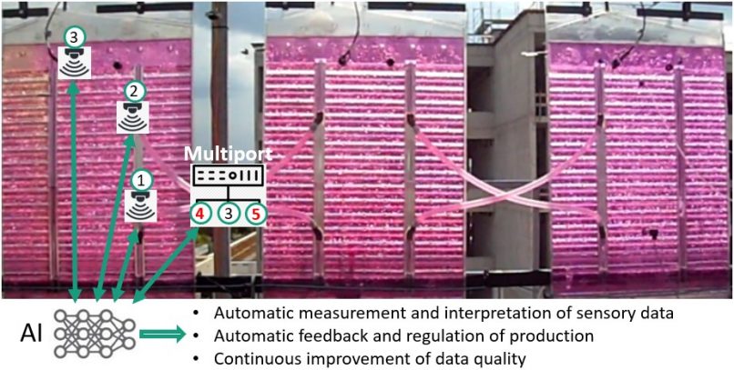 Standard Sensors: 1) Pressure, 2) pH, Temperature, 3) Optical density
Multiport (new sensors): 4) Carotenoids 6) Phycobilins